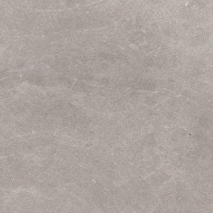 SNOW | LIGHT GREY | MATTE | 300X600