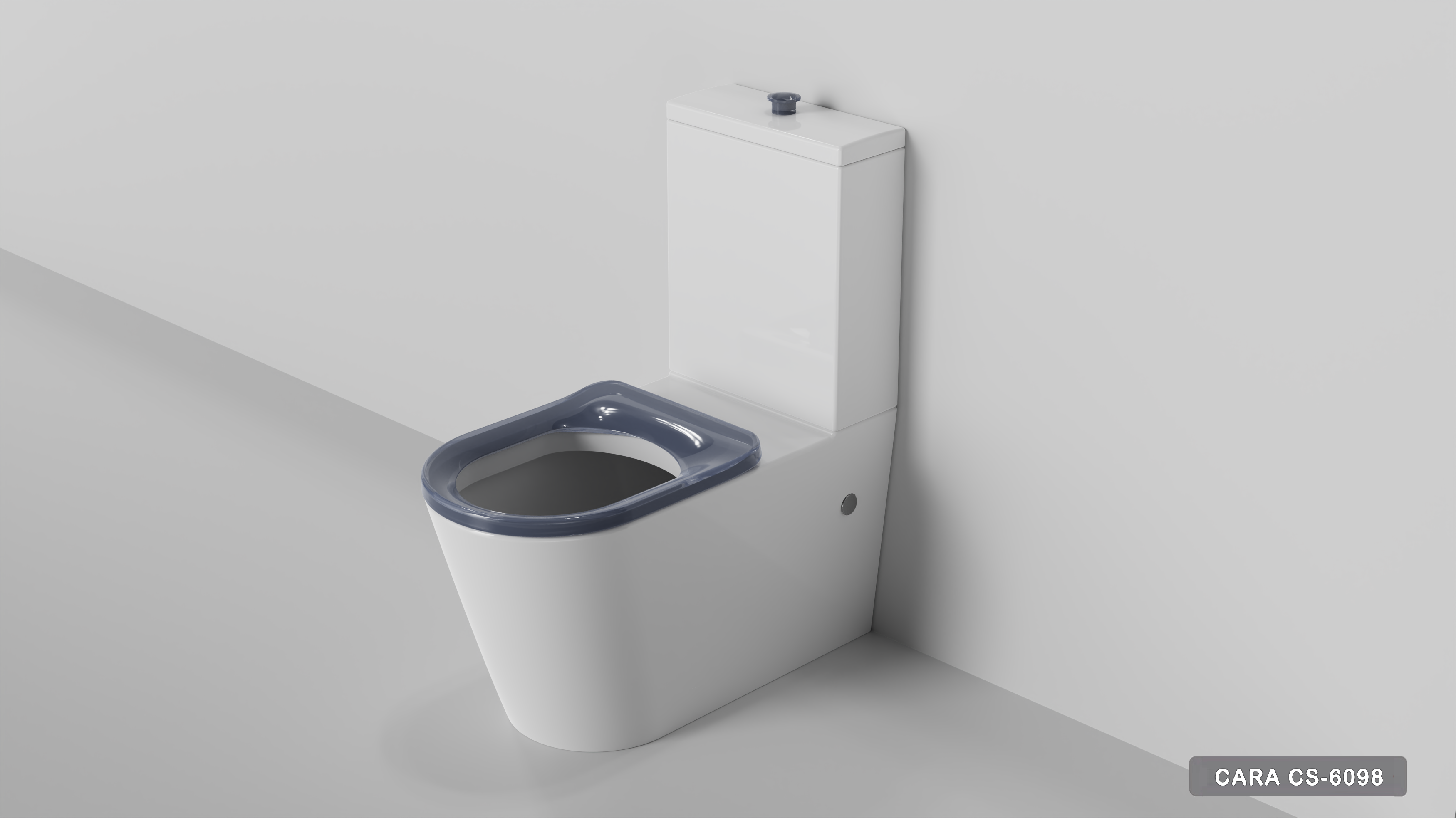 BACK TO WALL TOILET